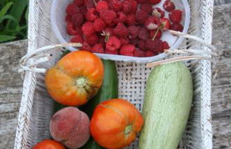 costa di sognu - Foto 75