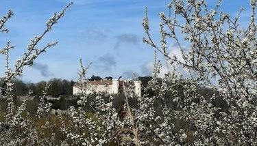 le Gîte de Marie Ray Sur Saône - Foto 2