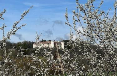 le Gîte de Marie Ray Sur Saône - Foto 1