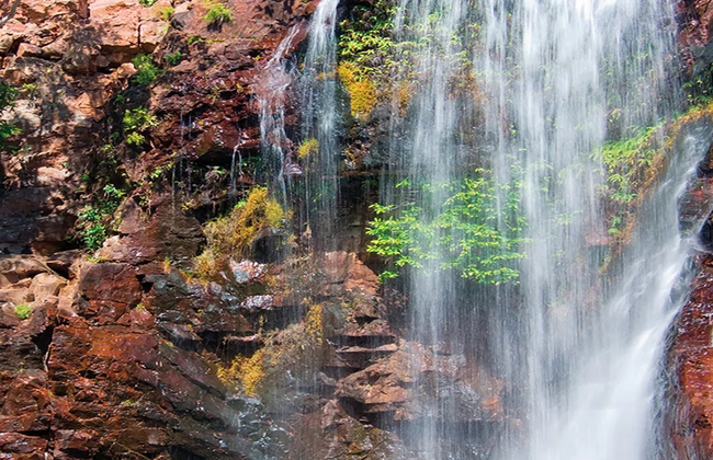 Wasserfälle im Litchfield Nationalpark - Foto 2