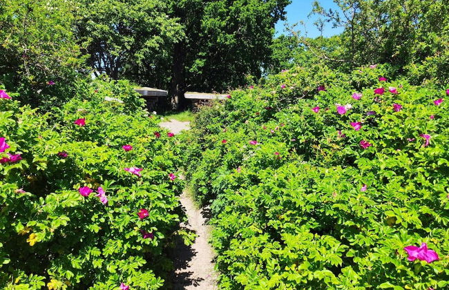 Seaside Haven With Spa - By Traum Ferienwohnungen - Foto 26