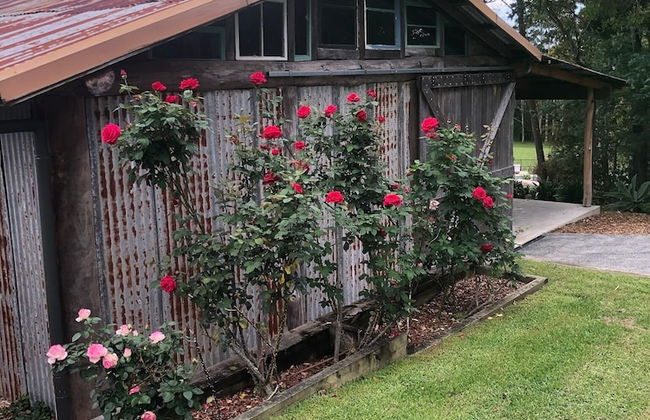 Mansfield on the Manning - Photo 29