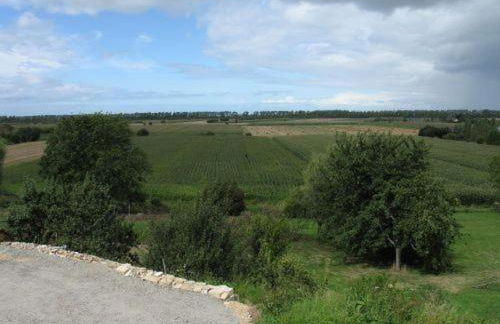 Les Hortensias - Foto 8