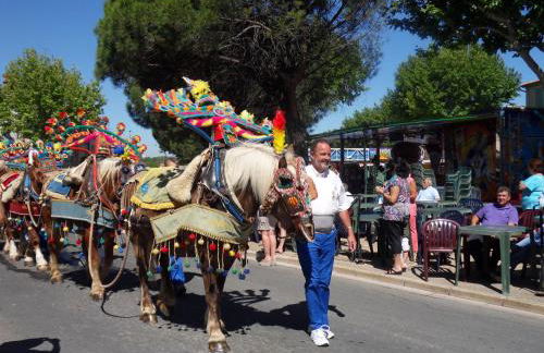 Les Hauts d'Eyragues gite Rêverie Meublé classé 4 étoiles - Foto 43