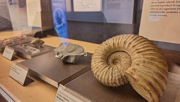 Visita ao Museu Jurássico de Astúrias a partir de Oviedo - Foto 3