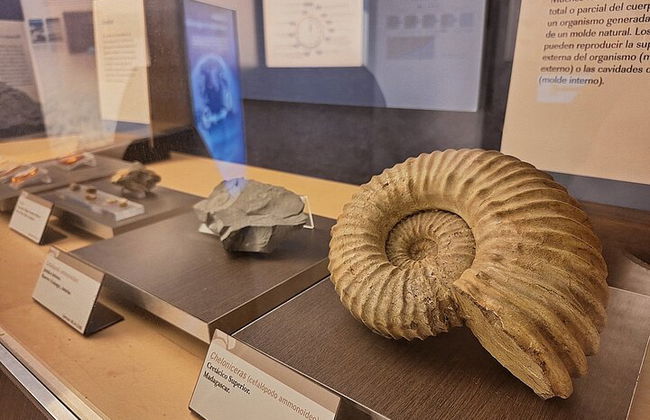 Visita ao Museu Jurássico de Astúrias a partir de Oviedo - Foto 3