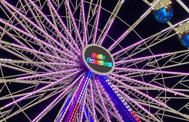 Tinyhaus & Souterrain Apartment in Ortenberg - Foto 33