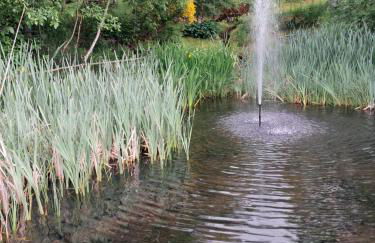 Boghead Cottage: Holiday Cottage in Royal Deeside - Foto 11