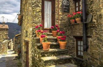 Casinha do México - Foto 1