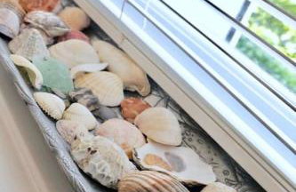 Bumblebee cottage Exmouth - Photo 4