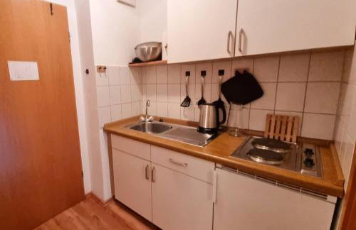 Schoenes 1 Zimmer, Sauna, Nationalpark, Free Parking - Foto 18