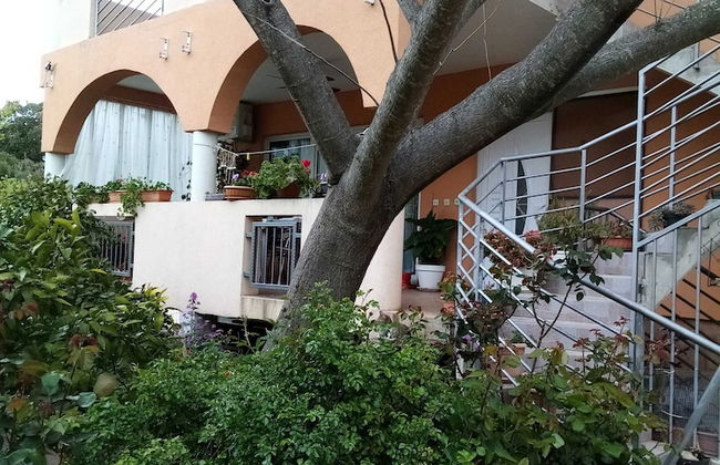 Apartments Vanja Škara Biograd - Foto 37