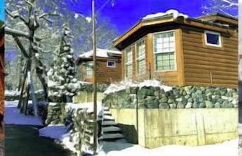 Hakuba Canadian Lodge - Foto 15