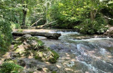 Ferienwohnung Christine - Photo 4