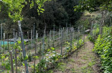 Au coeur du Village de Lucciana - Foto 31