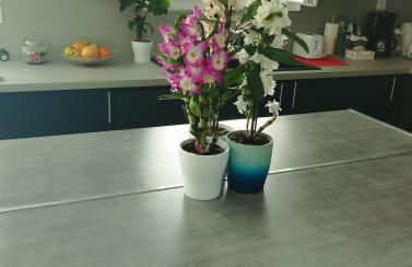 Nice apartment 1 hour from Paris and 45 minutes from Orléans - Photo 30