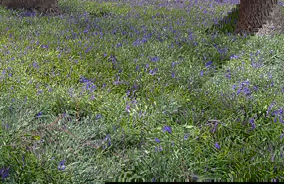 Inviting 2 Bedroom Barn Conversion, Rural Norfolk - Foto 25