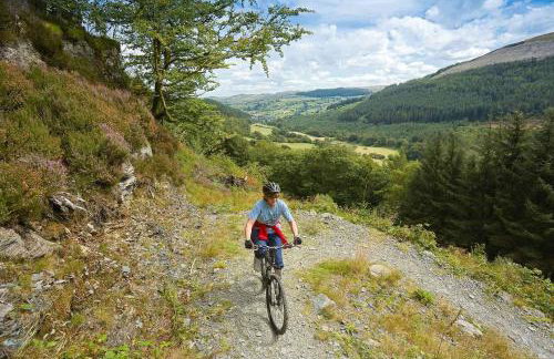 Conwy-Barn - Photo 29