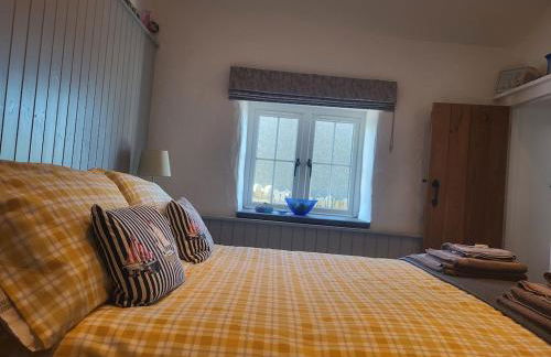 Bwthyn Plas Hafod Cottage - Photo 16