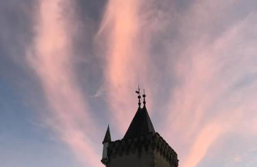 Château des Janroux - Foto 76