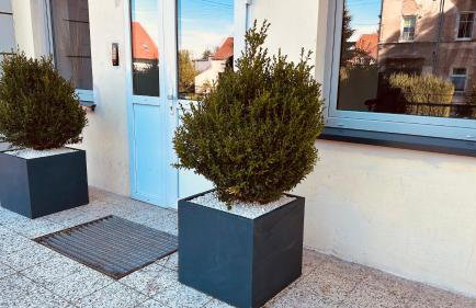 Grey 5 Zgorzelec - Görlitz - Foto 32