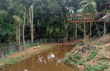 Sitio Lady Laura Biritiba Ussu Mogi - Foto 6