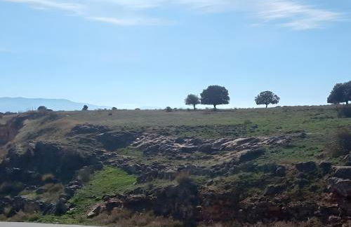 De Brevas A Higos - Foto 34