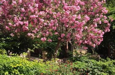 Alegria house with gardens near portoheli - Foto 28