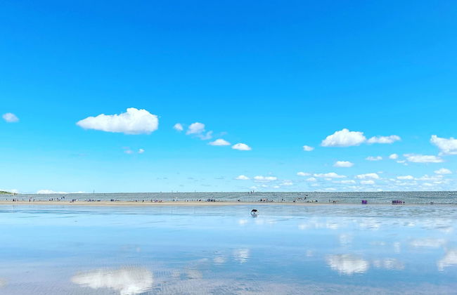 Holly Hayes House - Photo 53