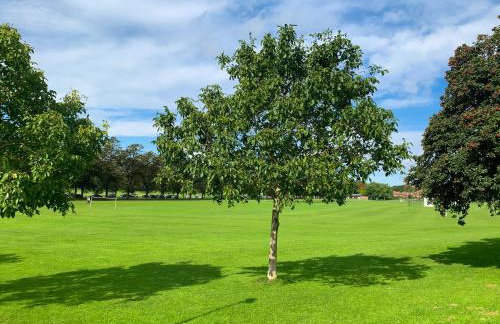The Racecourse - Quaint Victorian Home With Free Parking - Foto 59