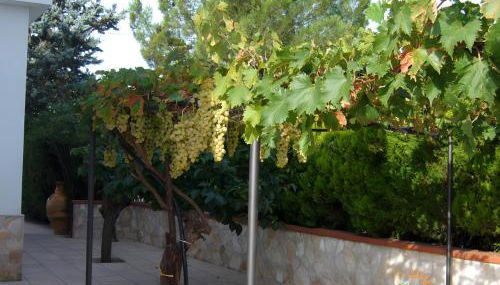 dimora del sole e del vento - Foto 4, Garden view