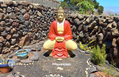 Centro Ave Fénix - Photo 41