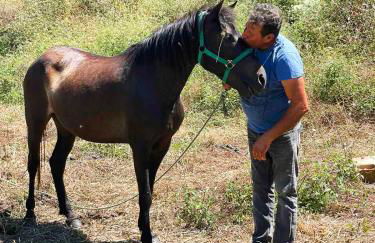 Lily Home_Lefkada ~ Private Country house - Foto 72