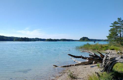 Ferienhaus Antdorfer Gartenglück - Foto 17