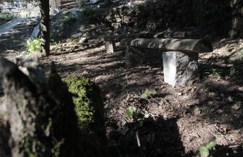 Bosque dos Amieiros - Foto 62