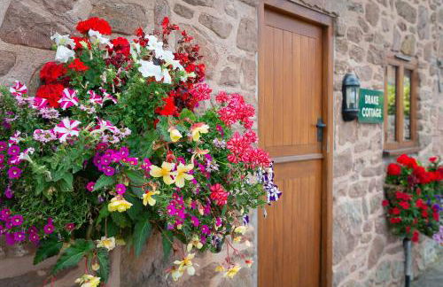 The Dinney Holiday Cottages - Photo 65