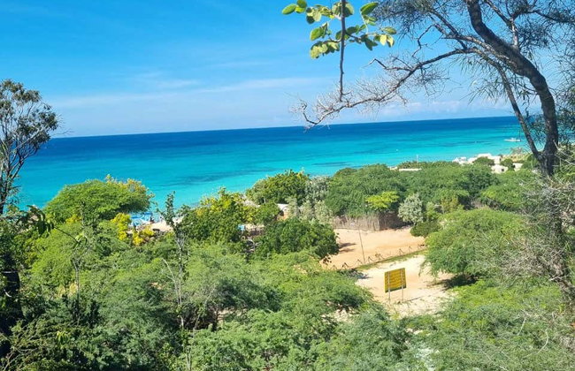 Bahía de las Águilas Day Trip from Pedernales - Photo 6