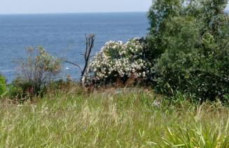 Casa Viadellavela - Foto 27