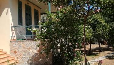 The Valkyries 3 - Photo 3, Garden