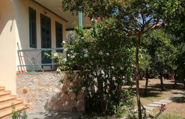 The Valkyries 3 - Foto 3