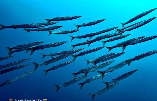 Villetta a 100mt dal mare - Foto 33