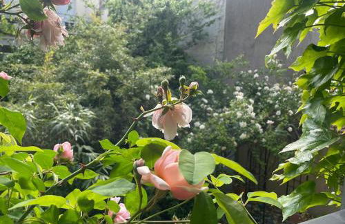 Magnifique maison 15 minutes du centre historique de Paris - Foto 24