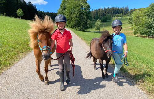 Ferienhof Gerda - Foto 41