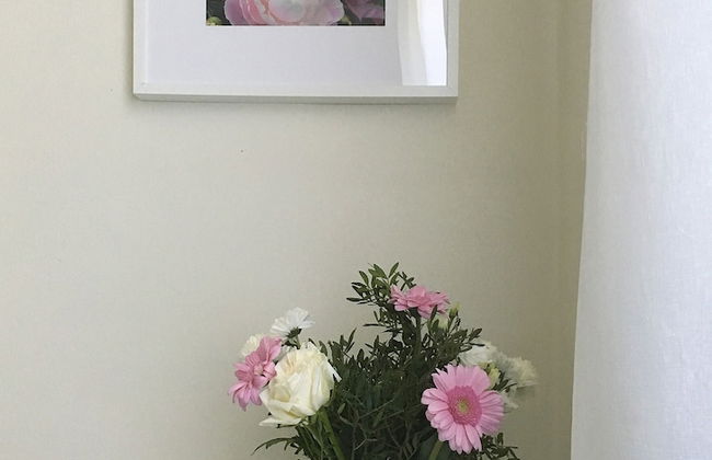 House & Garden - Foto 7