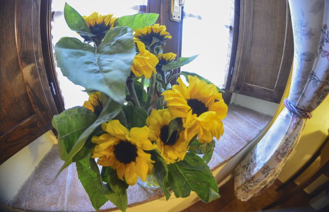 Casa di Campagna in Toscana - Foto 26