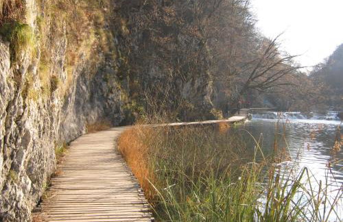 Apartments Božić - Foto 64