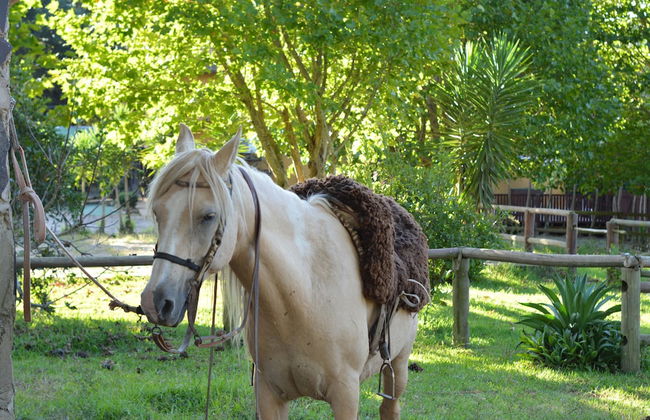 Hotel Fazenda Pedras Brancas - Foto 25