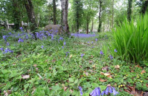 Seaside Escape - Foto 6