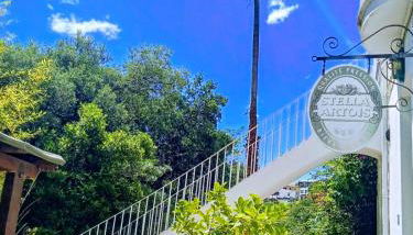 La vinya - Foto 1, Garden