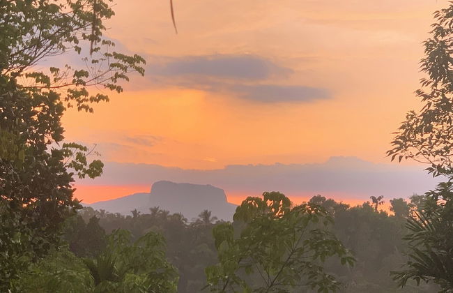 Guava House by The Serendipity Collection - Photo 13